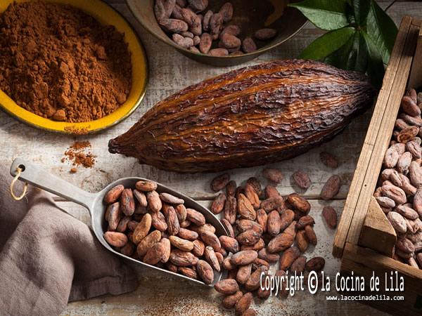 beneficios del cacao